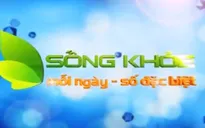 Sống khỏe mỗi ngày: Bệnh hen phế quản ở trẻ (17h30, VTV2)