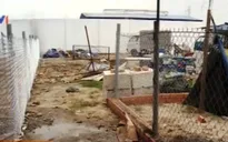 Bình Dương: 9 năm không được cấp sổ đỏ, chính quyền vẫn lúng túng