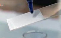 Độc đáo sơn có khả năng tự làm sạch