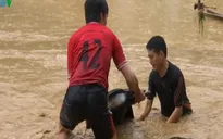Hình ảnh kinh hoàng do ảnh hưởng của bão số 1