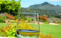 Làng rượu ở California bị cáo buộc sử dụng chất Asen