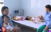 Nguy cơ bùng phát dịch sốt xuất huyết tại Khánh Hòa