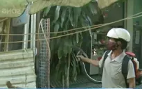 Hậu Giang: Kiểm soát tốt dịch sốt xuất huyết
