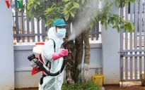 El Nino liên quan đến bùng phát dịch sốt xuất huyết tại Đông Nam Á