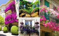 Những ý tưởng vườn hoa ban công tuyệt đẹp