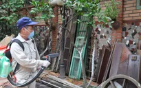 Hộ kinh doanh bị phạt 2 triệu đồng do không thực hiện quy định phòng chống sốt xuất huyết