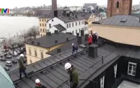 Độc đáo tour du lịch Stockholm, Thụy Điển trên… mái nhà