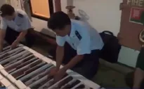 TP.HCM: Thu giữ 24 súng săn nhập lậu