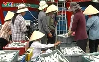 Gánh nặng mưu sinh của người dân vùng biển Nghệ An