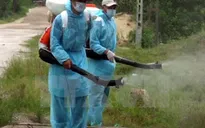 Hà Nội sẽ dành thêm 14 tỷ đồng để đẩy lùi dịch sốt xuất huyết