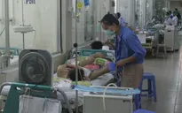 Mỗi tháng cả nước có thêm 10.000 ca mắc sốt xuất huyết