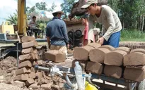 An Giang: Kiên quyết đình chỉ khai thác đất mặt ruộng