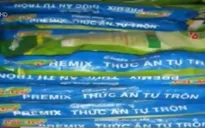 Báo động gia tăng sử dụng chất cấm trong chăn nuôi