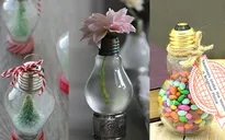 Những ý tưởng tái chế bóng đèn độc đáo