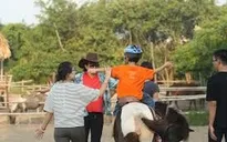 Trẻ tự kỉ thích thú khi được chữa bệnh bằng cưỡi ngựa