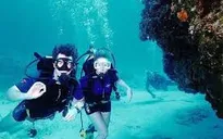 Lễ hội Cozumel Scuba thu hút dân 'nghiền' du lịch