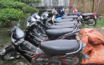 Yên Bái: Phá vụ án trộm 20 xe máy