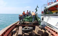 Bắt giữ tàu vận chuyển gỗ trái phép