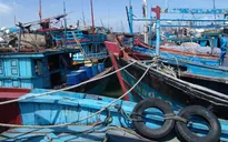 Quảng Ngãi: Phê duyệt đóng mới, nâng cấp 27 tàu cá theo NĐ 67