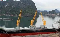 Quảng Ninh đóng mới tàu 56.200 tấn và bàn giao tàu 12.500 tấn