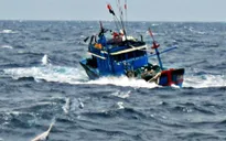 Tàu cá ngư dân Quảng Ngãi bị chìm ở Trường Sa