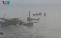 Tàu cá chìm trên biển, 8 ngư dân được cứu sống