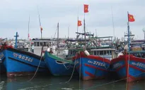 Miền Trung kêu gọi tàu thuyền tránh bão