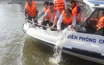 TP.HCM: Thả gần 500.000 con cá xuống kênh Tàu Hủ - Bến Nghé