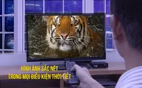 VTVcab đưa ra hàng loạt ưu đãi đặc biệt tại TP.HCM
