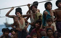 Myanmar đưa hơn 700 người di cư vào bờ
