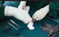 Hiểm hoạ tiềm ẩn trong ngành công nghiệp sắc đẹp