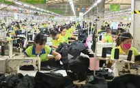 Doanh nghiệp thành lập mới tăng mạnh