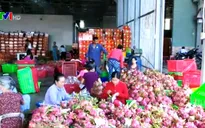 Siêu thị hỗ trợ tiêu thụ thanh long ở Bình Thuận