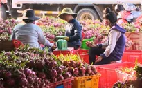 Xuất khẩu nông, lâm, thủy sản sẽ chỉ đạt 95% mục tiêu đề ra trong năm 2015