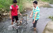 Ứng dụng đầy sáng tạo của những nhà khoa học tuổi teen