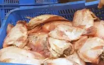 Bộ Y tế yêu cầu làm rõ vụ thực phẩm thối tuồn vào trường học