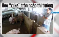 Nỗi lo thực phẩm bẩn: Bao giờ đến hồi kết?