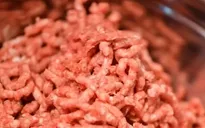 Mỹ thu hồi hơn 80 tấn thịt bò xay nhiễm khuẩn E. coli