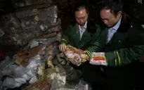 Trung Quốc bắt giữ hàng trăm tấn thịt đông lạnh niên đại 40 năm