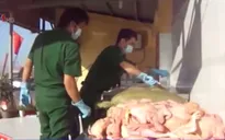 TP.HCM: Thu giữ gần 1 tấn thịt gà bốc mùi