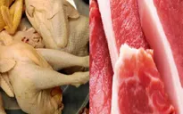 Phát hiện lợn, gà nhiễm khuẩn Salmonella tại Hà Nội, TP.HCM