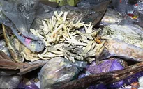 Bê bối thịt đông lạnh 40 năm tuổi tại Trung Quốc