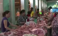 Lò mổ gia súc không phép ngang nhiên hoạt động ở Quảng Bình