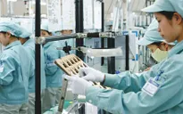 Thoái vốn Nhà nước, nhà đầu tư không được sa thải lao động