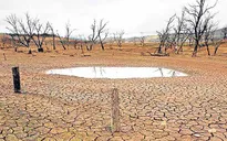 Hiện tượng El Nino sẽ tăng mạnh vào cuối năm nay