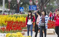 Thời tiết thuận lợi dịp Tết Ất Mùi