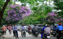 Nắng nóng chấm dứt, mưa rào và dông rải rác khắp các vùng