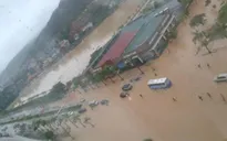 Vấn đề nóng trong tuần: Mưa lũ lịch sử và sự "ngoan cố" của chợ tự phát