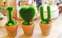 Xu hướng quà tặng cây xanh lên ngôi