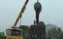 Người dân An Giang ồ ạt bán cây thốt nốt